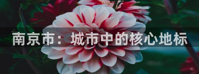 新宝5客户端登录：南京市：城市中的核心地标