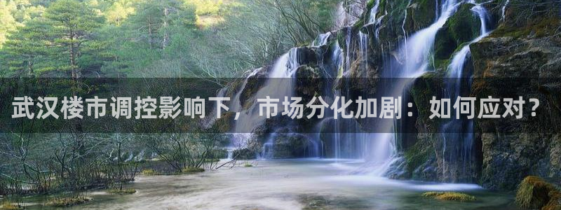 新宝5：武汉楼市调控影响下，市场分化加剧：如何应对？