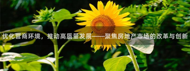 新宝5官网平台