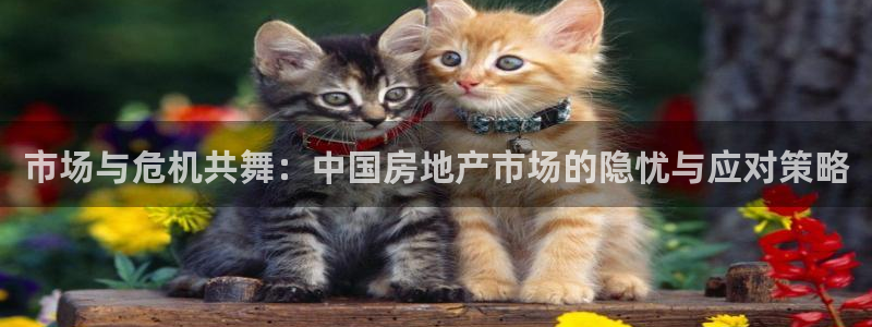 新宝5电脑：市场与危机共舞：中国房地产市场的隐忧与应对策略