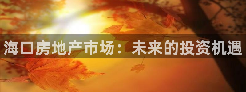 新宝5安卓版：海口房地产市场：未来的投资机遇