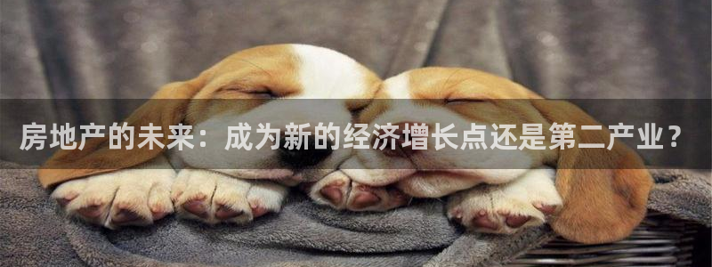 新宝m2O5O5O：房地产的未来：成为新的经济增长点还是第二