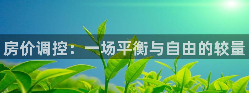 2022新宝骏rs 5：房价调控：一场平衡与自由的较量