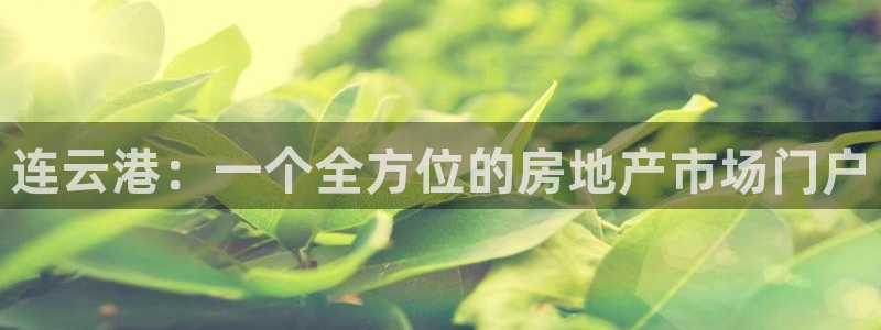 新宝5-：连云港：一个全方位的房地产市场门户