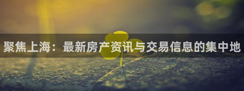 老新宝5授权登录：聚焦上海：最新房产资讯与交易信息的集中地