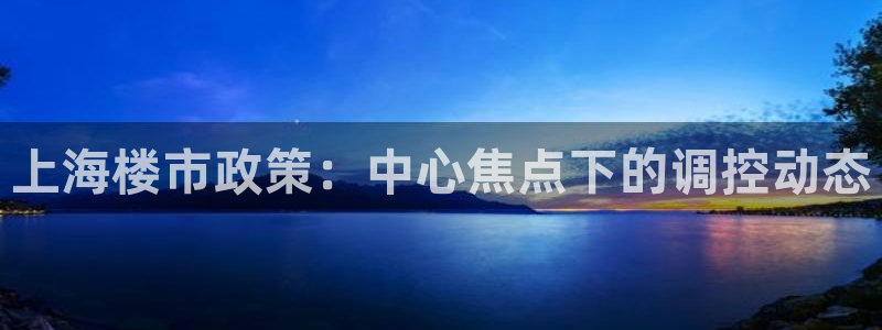 新宝那2O5O5O：上海楼市政策：中心焦点下的调控动态