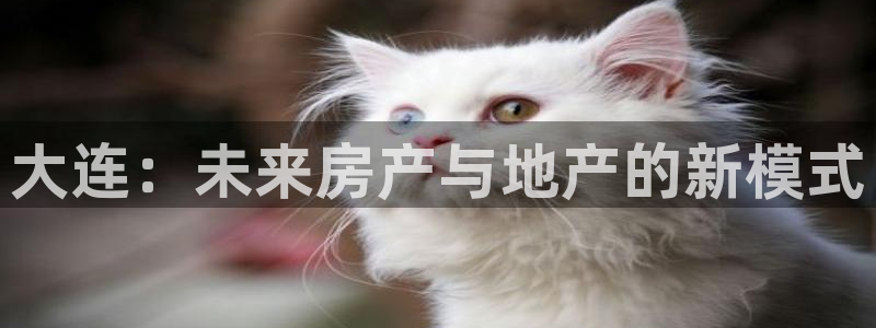 新宝5注册流程：大连：未来房产与地产的新模式
