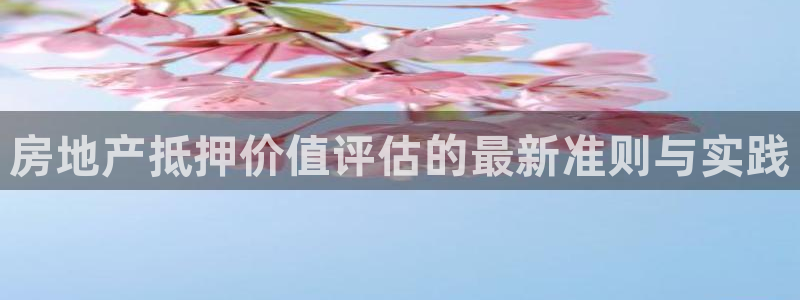 新宝5注册登录：房地产抵押价值评估的最新准则与实践