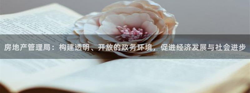 新宝5如何注册：房地产管理局：构建透明、开放的政务环境，促进