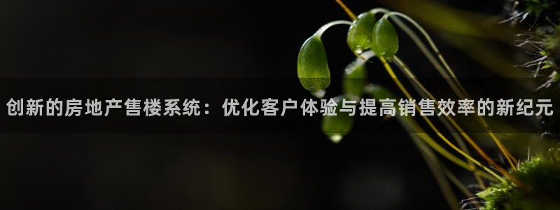 新宝5-：创新的房地产售楼系统：优化客户体验与提高销售效率的
