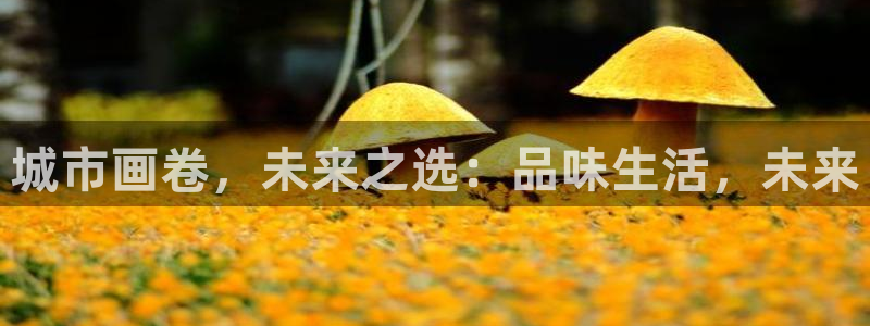 新宝5测：城市画卷，未来之选：品味生活，未来