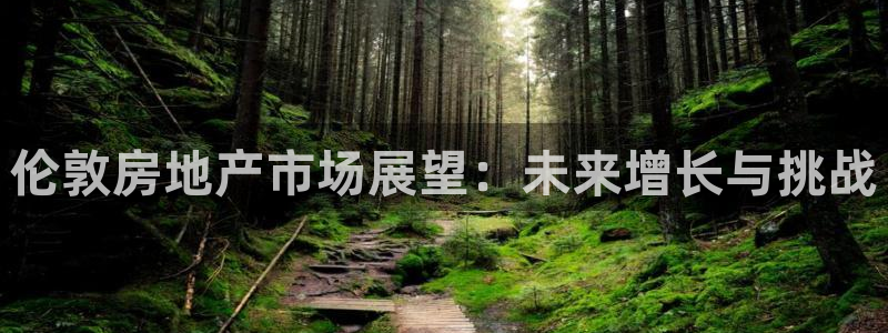 新宝5app：伦敦房地产市场展望：未来增长与挑战