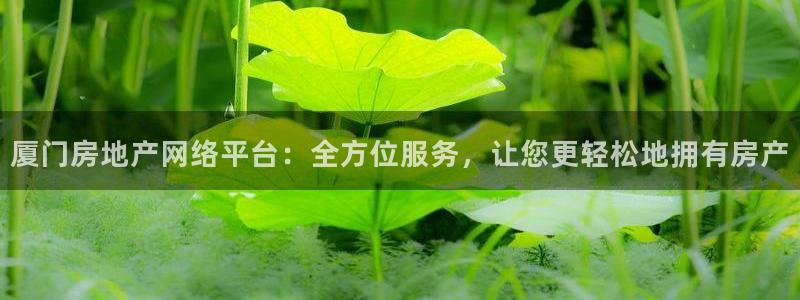 新宝5登录测速中心：厦门房地产网络平台：全方位服务，让您更轻
