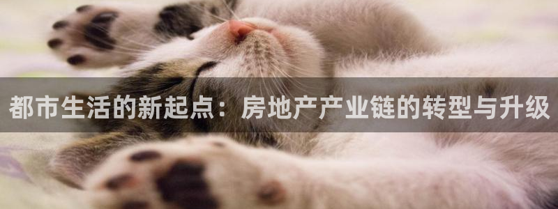 新宝5娱乐平台：都市生活的新起点：房地产产业链的转型与升级