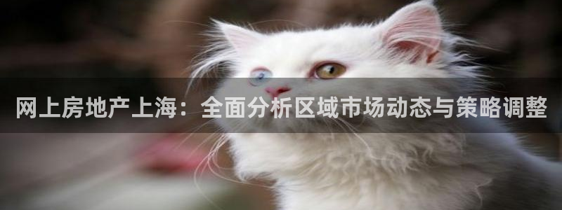 新宝5内部：网上房地产上海：全面分析区域市场动态与策略调整
