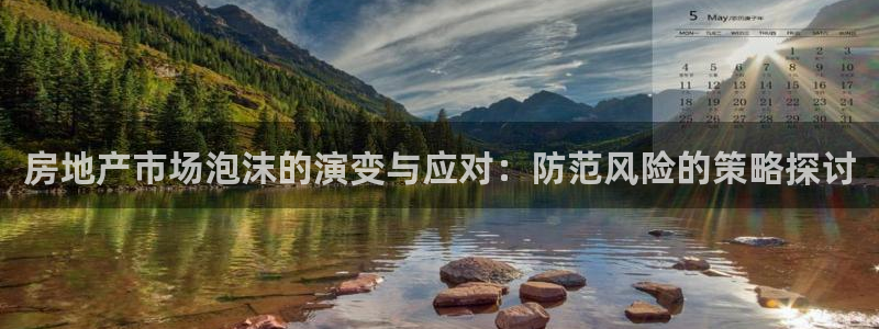 新宝5平台注册公司：房地产市场泡沫的演变与应对：防范风险的策
