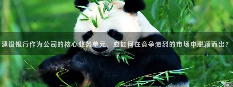 新宝5链接：建设银行作为公司的核心业务单元，应如何在竞争激烈