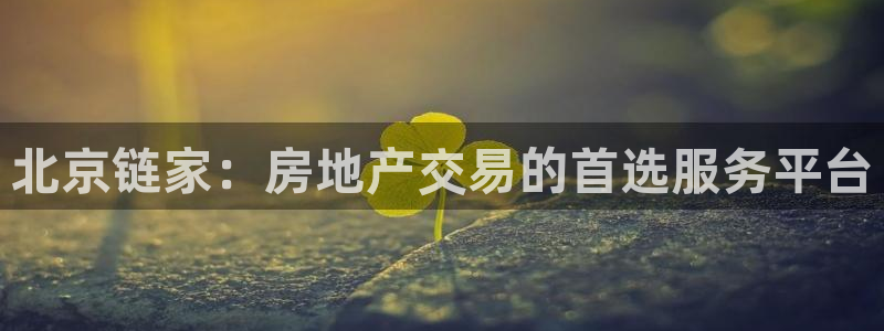 p5r新宝魔：北京链家：房地产交易的首选服务平台