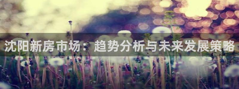 新宝5测登录：沈阳新房市场：趋势分析与未来发展策略