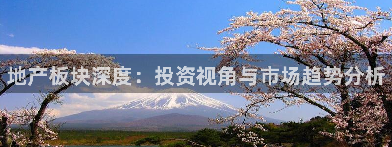 新宝5招商：地产板块深度：投资视角与市场趋势分析