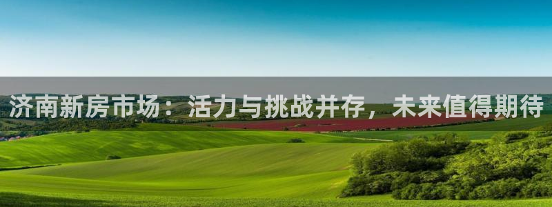 新宝5测速在线：济南新房市场：活力与挑战并存，未来值得期待