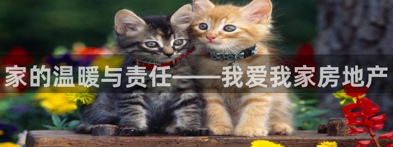 新宝5上来77542：家的温暖与责任——我爱我家房地产