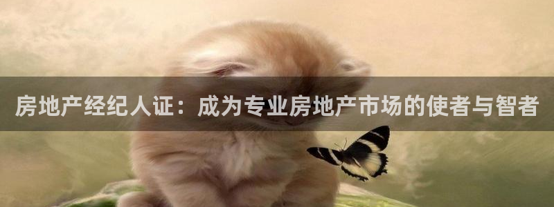 新宝5卫74OOO5：房地产经纪人证：成为专业房地产市场的使