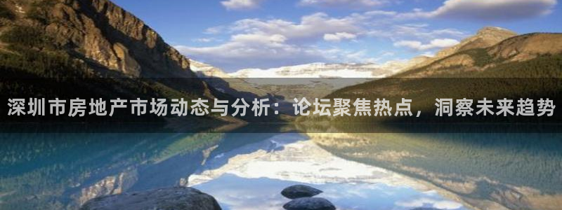 新宝b2O5O5O：深圳市房地产市场动态与分析：论坛聚焦热点