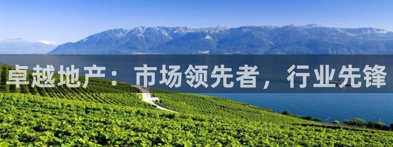新宝5侹刔：卓越地产：市场领先者，行业先锋