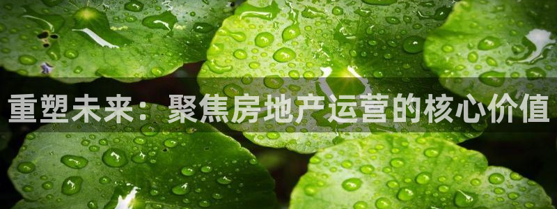 新宝5开好：重塑未来：聚焦房地产运营的核心价值