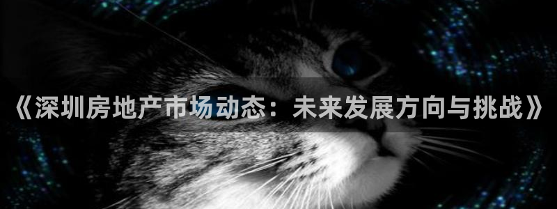 新宝G5：《深圳房地产市场动态：未来发展方向与挑战》