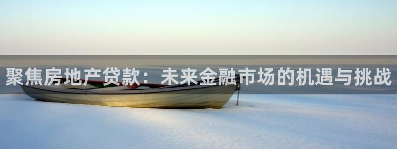 新宝5湫333 00：聚焦房地产贷款：未来金融市场的机遇与挑