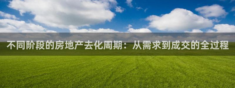 新宝5唯一：不同阶段的房地产去化周期：从需求到成交的全过程