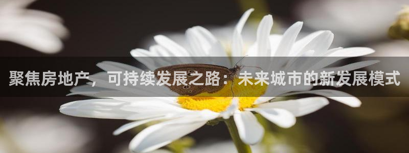 新宝h2O5O5O：聚焦房地产，可持续发展之路：未来城市的新