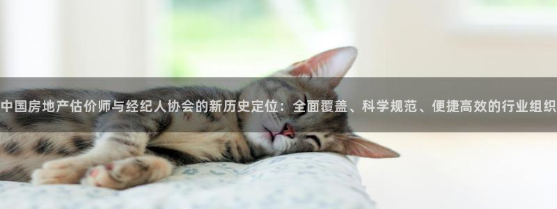 新宝5户端：中国房地产估价师与经纪人协会的新历史定位：全面覆