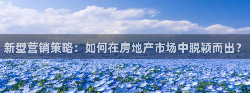 新宝5电脑登录网址：新型营销策略：如何在房地产市场中脱颖而出