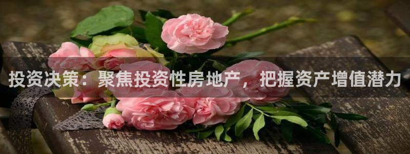 新宝5官网平台：投资决策：聚焦投资性房地产，把握资产增值潜力