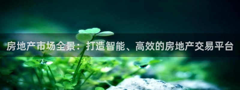 新宝5怎么代理：房地产市场全景：打造智能、高效的房地产交易平