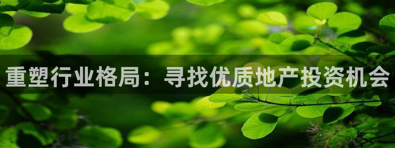 新宝5天：重塑行业格局：寻找优质地产投资机会