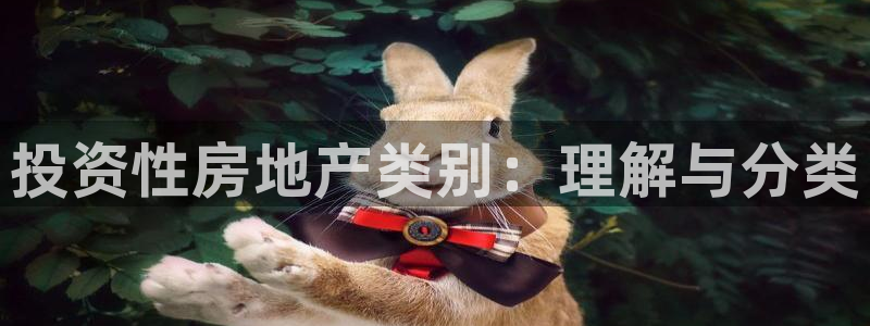新宝5娱乐学：投资性房地产类别：理解与分类