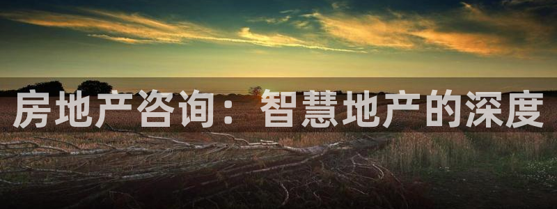 新宝5娱乐招商：房地产咨询：智慧地产的深度