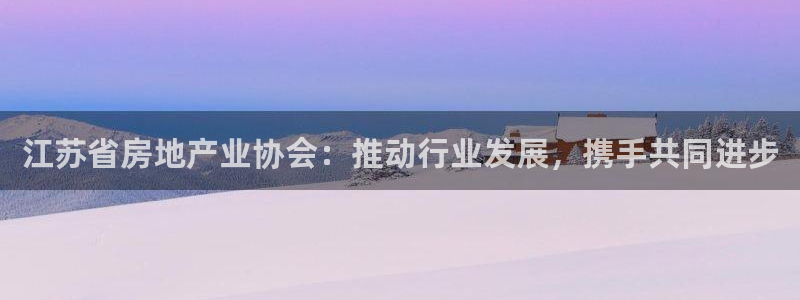 新宝5褚74OOO5：江苏省房地产业协会：推动行业发展，携手