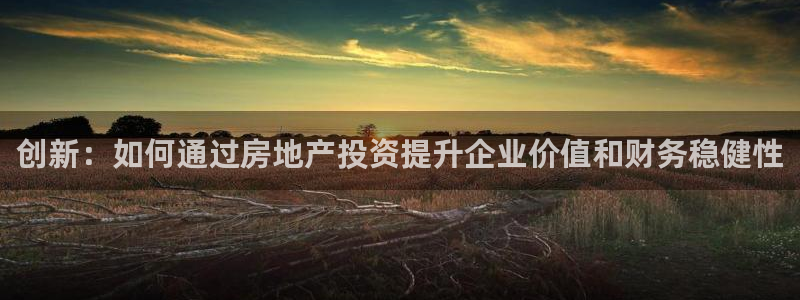 新宝股东瞧听2 5 5：创新：如何通过房地产投资提升企业价值