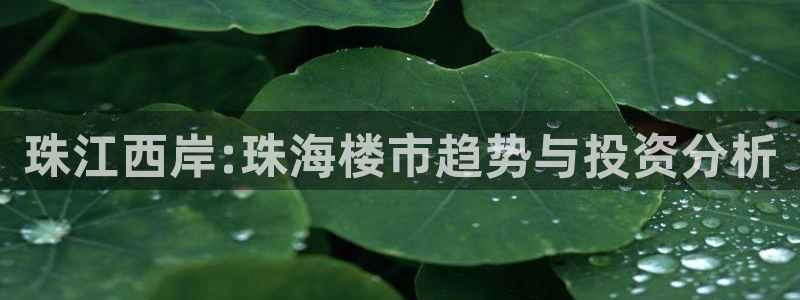 新宝5是什么样子的：珠江西岸:珠海楼市趋势与投资分析