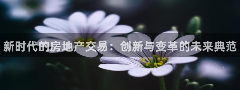 新宝5测：新时代的房地产交易：创新与变革的未来典范