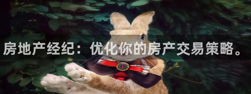 新宝5登录网址：房地产经纪：优化你的房产交易策略。