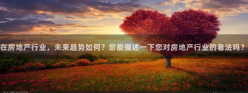 新宝5账号注册：在房地产行业，未来趋势如何？您能描述一下您对