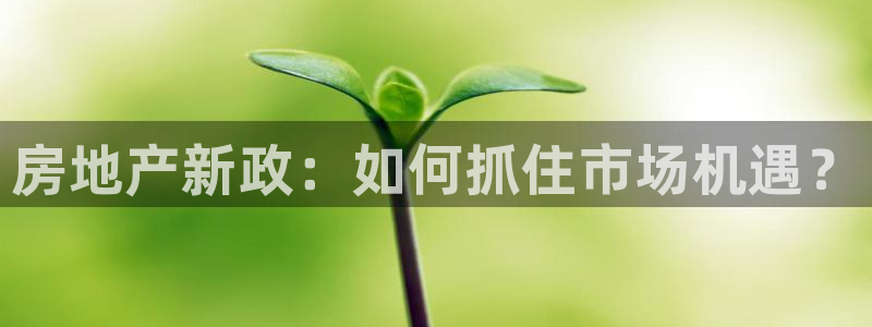 新宝5彩票平台登陆：房地产新政：如何抓住市场机遇？
