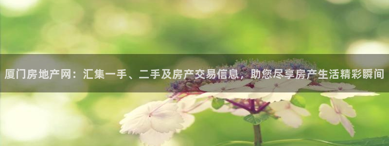 新宝5娱乐登录：厦门房地产网：汇集一手、二手及房产交易信息，