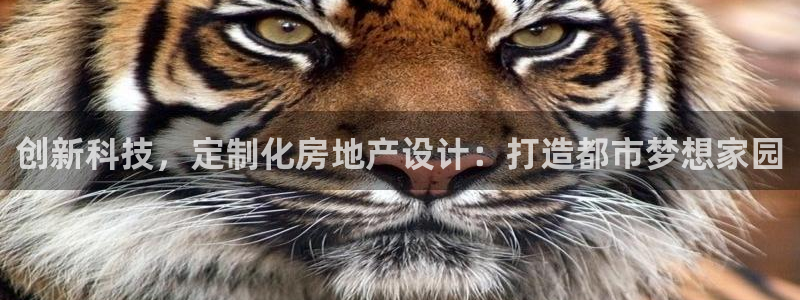 新宝5官方登录入口：创新科技，定制化房地产设计：打造都市梦想